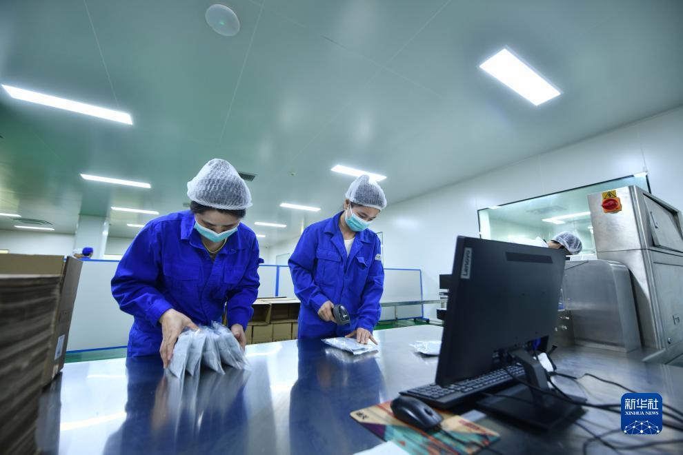 大阳城登录网站
